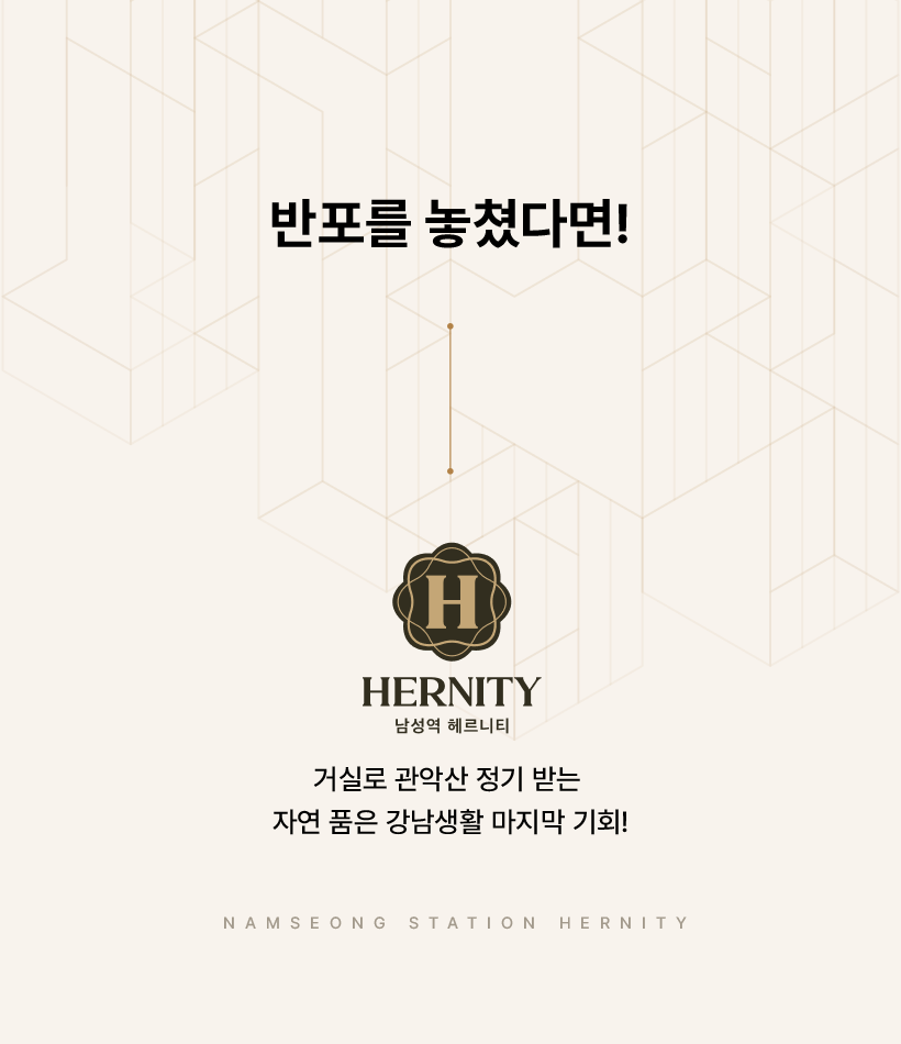 반포를 놓쳤다면 · 헤르니티