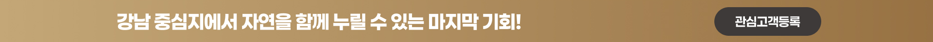 강남 중심지 자연 프리미엄